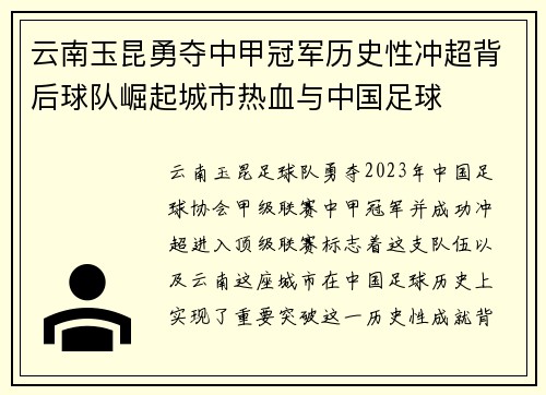 云南玉昆勇夺中甲冠军历史性冲超背后球队崛起城市热血与中国足球 云南玉昆勇夺中甲冠军历史性冲超背后球队崛起城市热血与中国足球