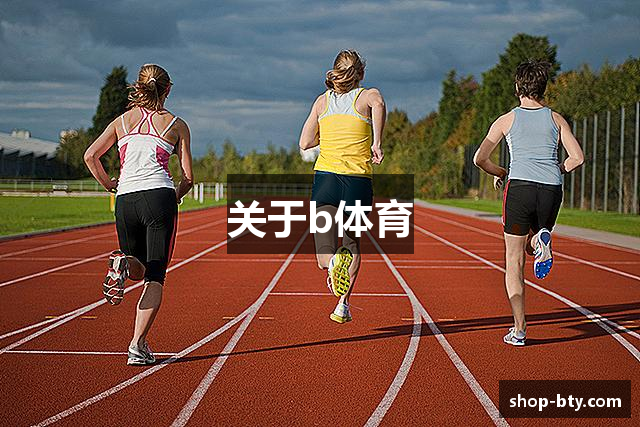 关于b体育